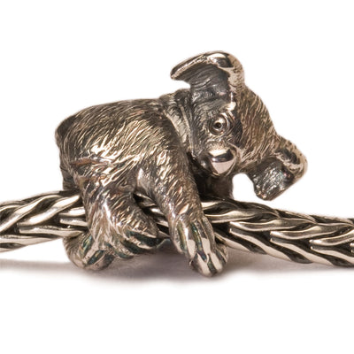 Koala Bead