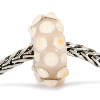 Conch Bead