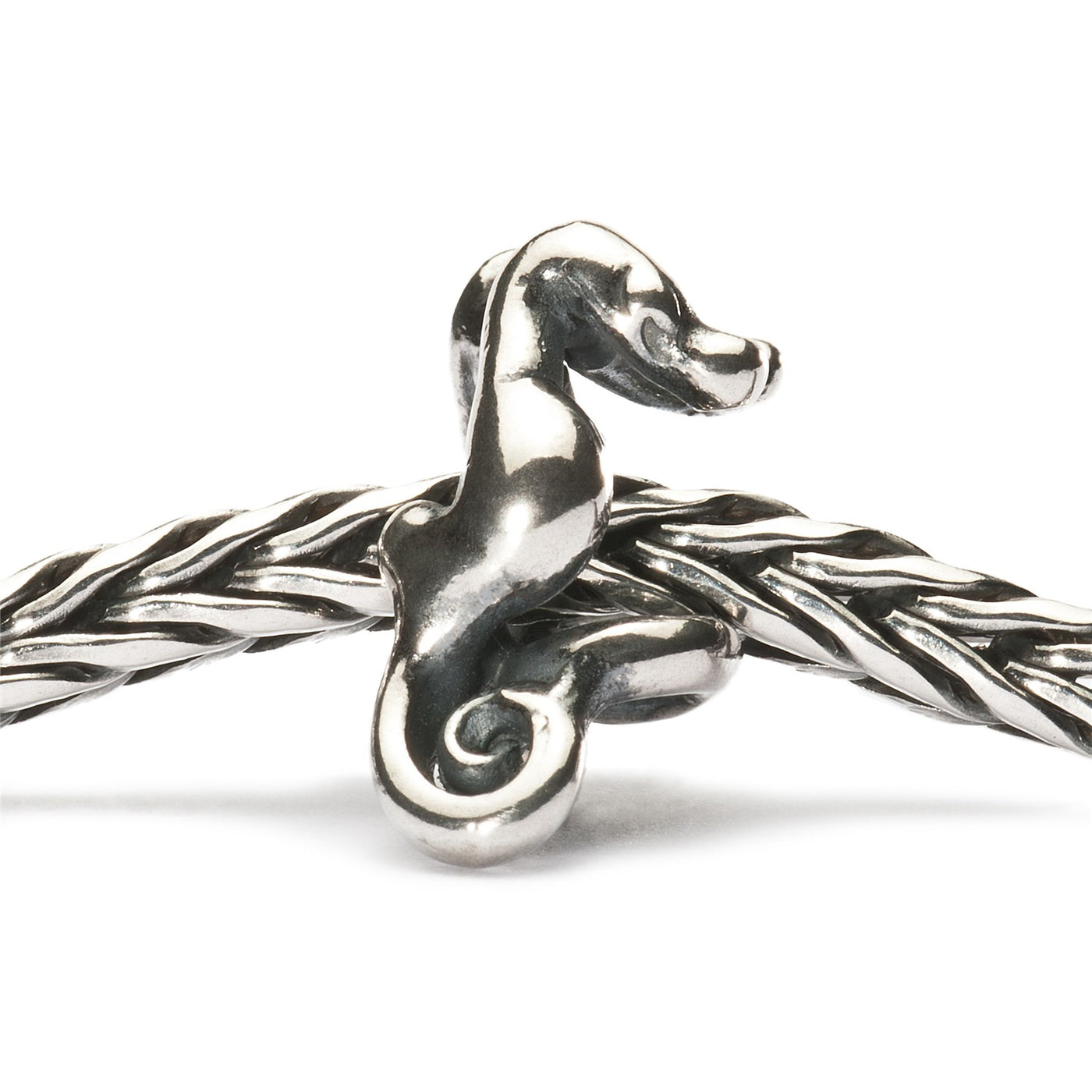 Seahorses Bead