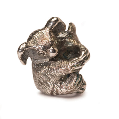 Koala Bead