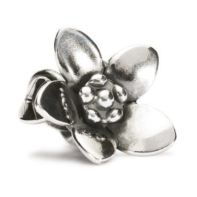 The Messenger Bead